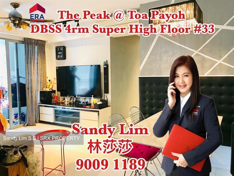 The Peak @ Toa Payoh thumbnail photo